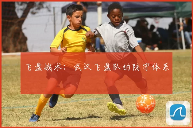 飞盘战术：武汉飞盘队的防守体系
