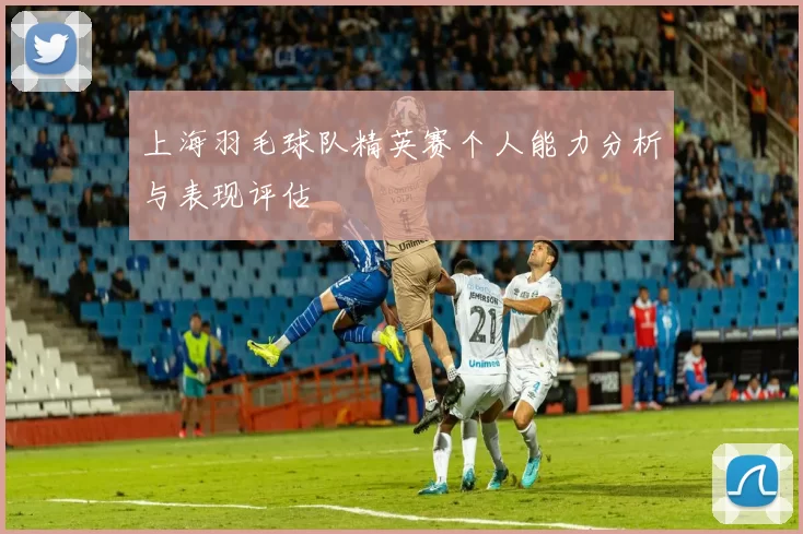 上海羽毛球队精英赛个人能力分析与表现评估