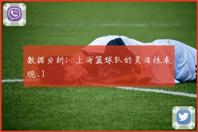 数据分析：上海篮球队的灵活性表现_1